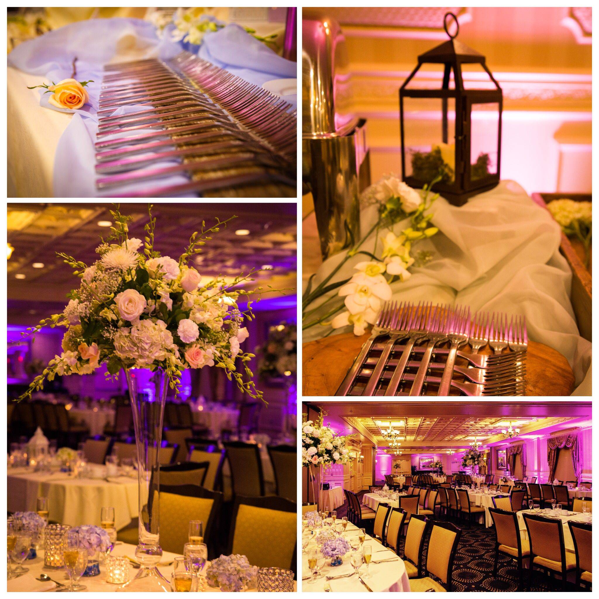 Lyndsey Hamilton Events