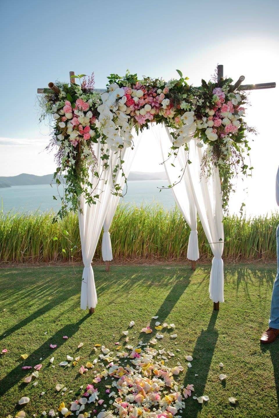 Backdrop Marquis Gardens Hamilton