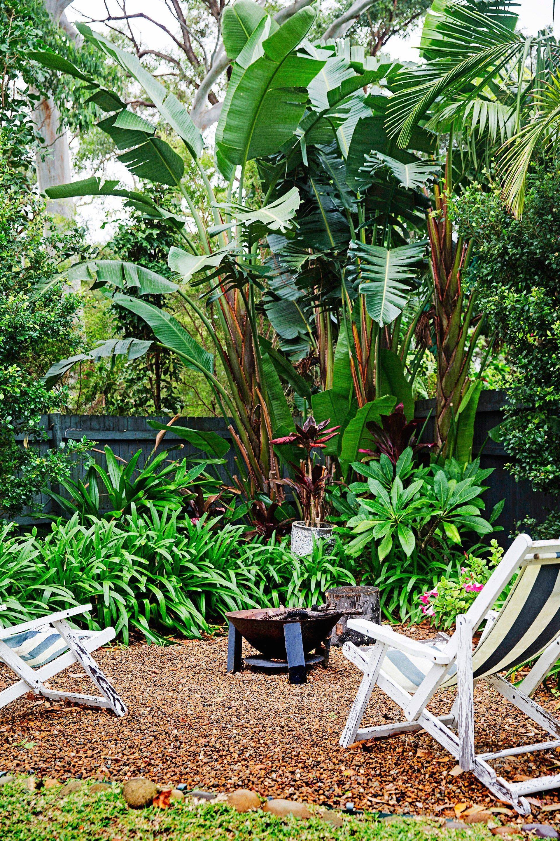 A Tropicalthemed Garden