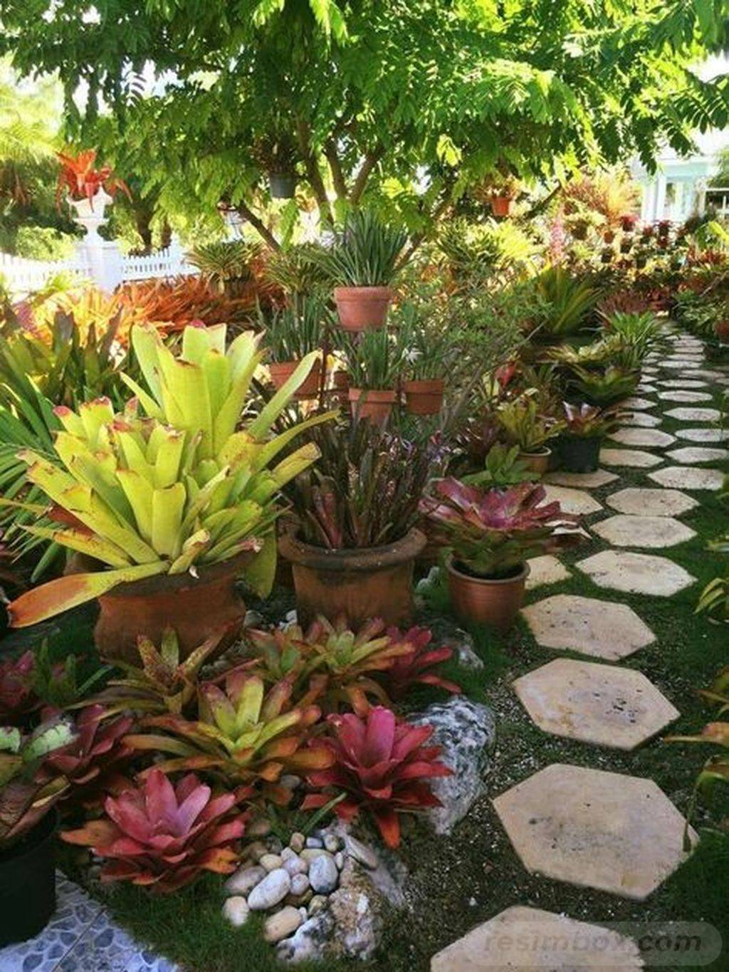 Beautiful Tropical Landscaping Ideas Photos Landscape Ideas