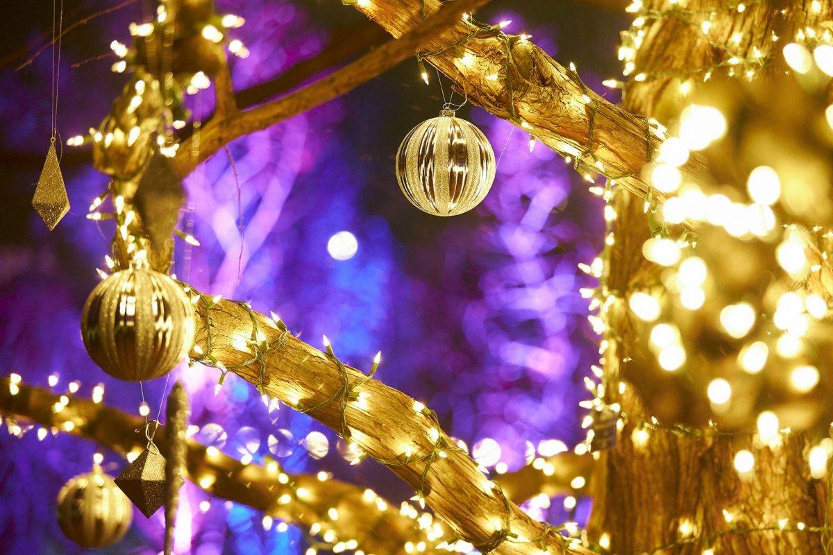 Christmas Garden Berlin Offical Website