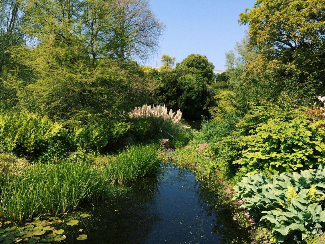 Le Crystal Palace Du Roi Lopold Ii