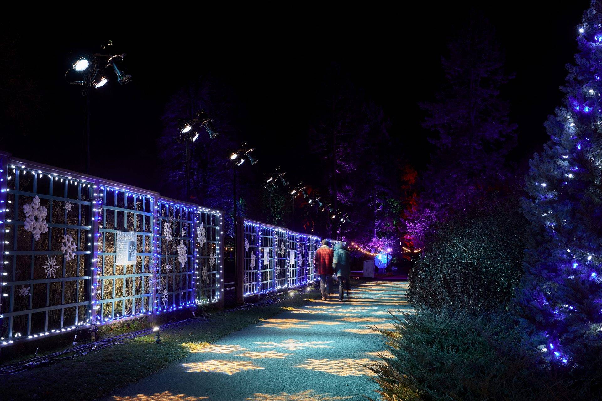 Sparkling Winter Wonderland