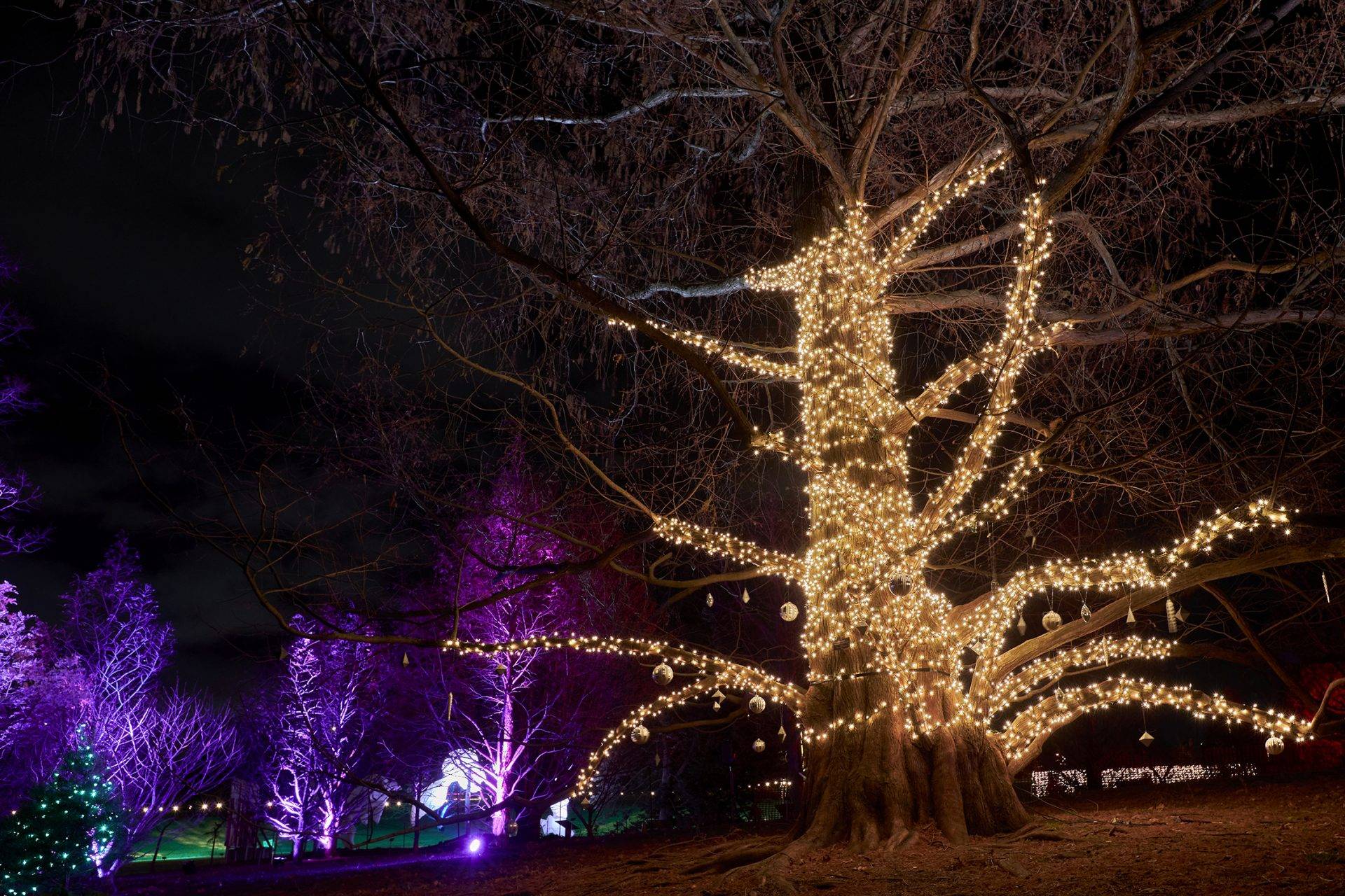 Sparkling Winter Wonderland