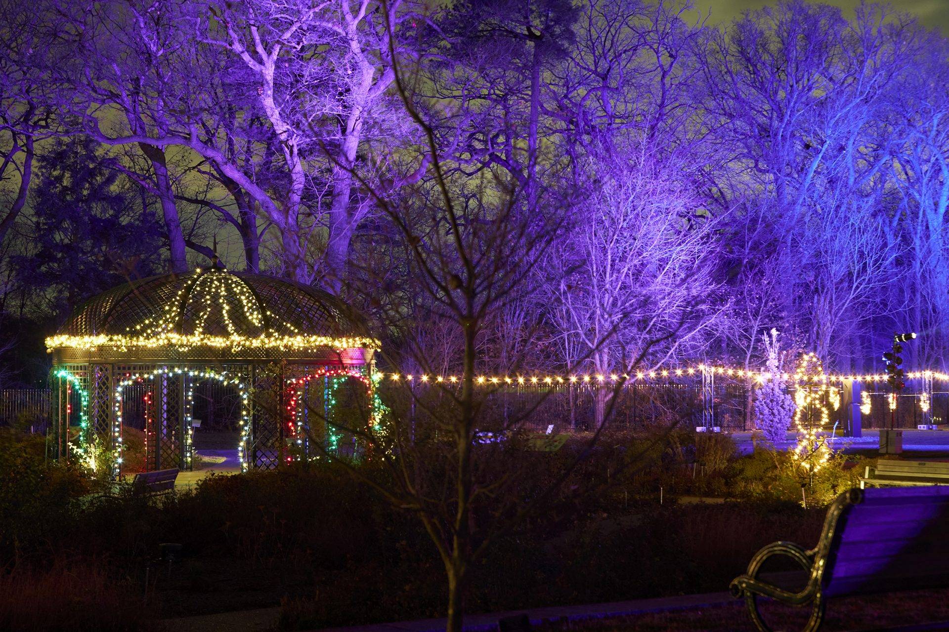 Sparkling Winter Wonderland