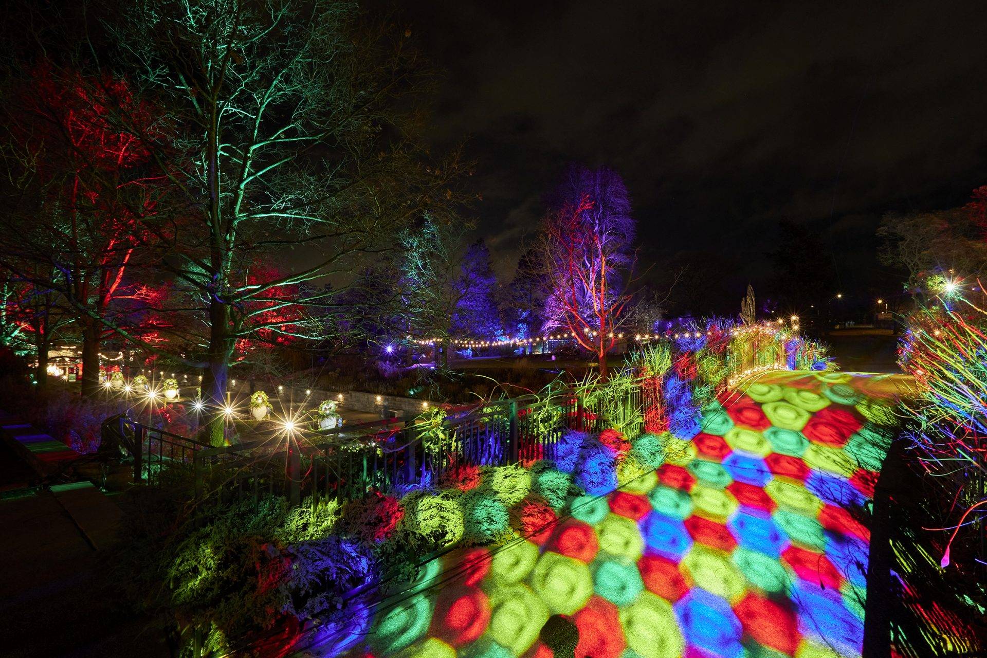 Sparkling Winter Wonderland