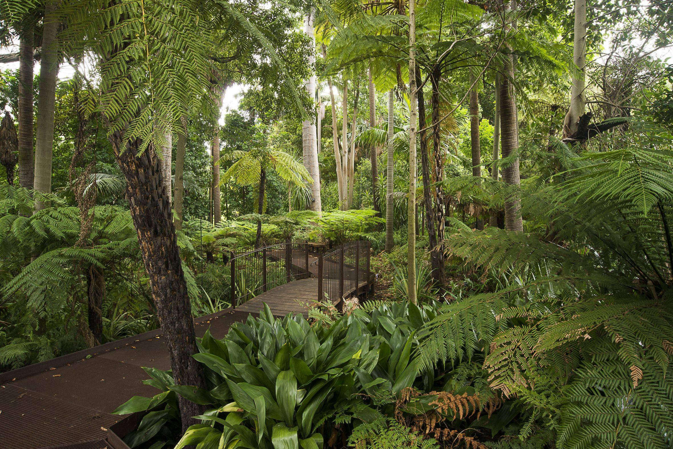 Melbourne Botanical Garden