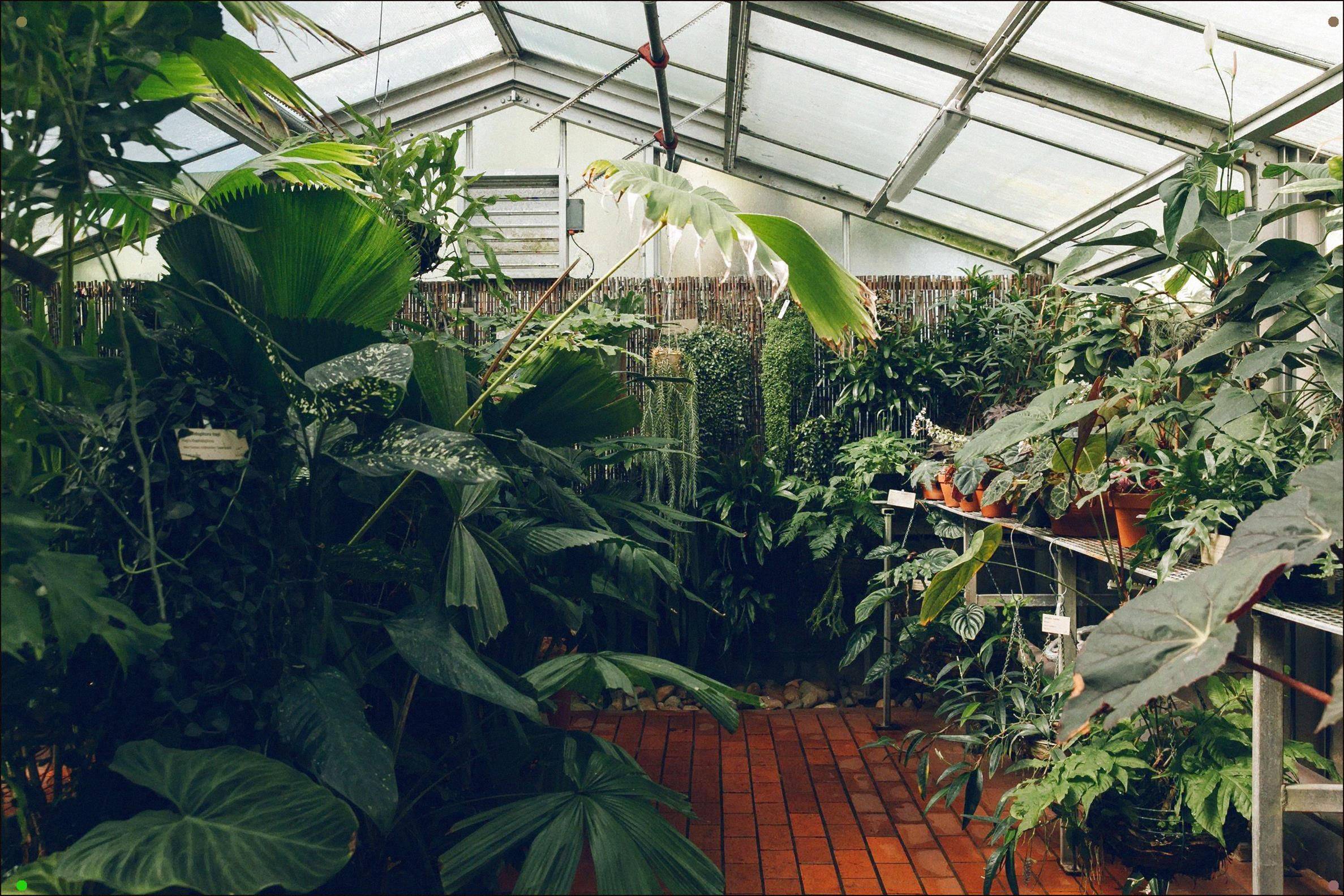 Janna Schreier Australian Garden