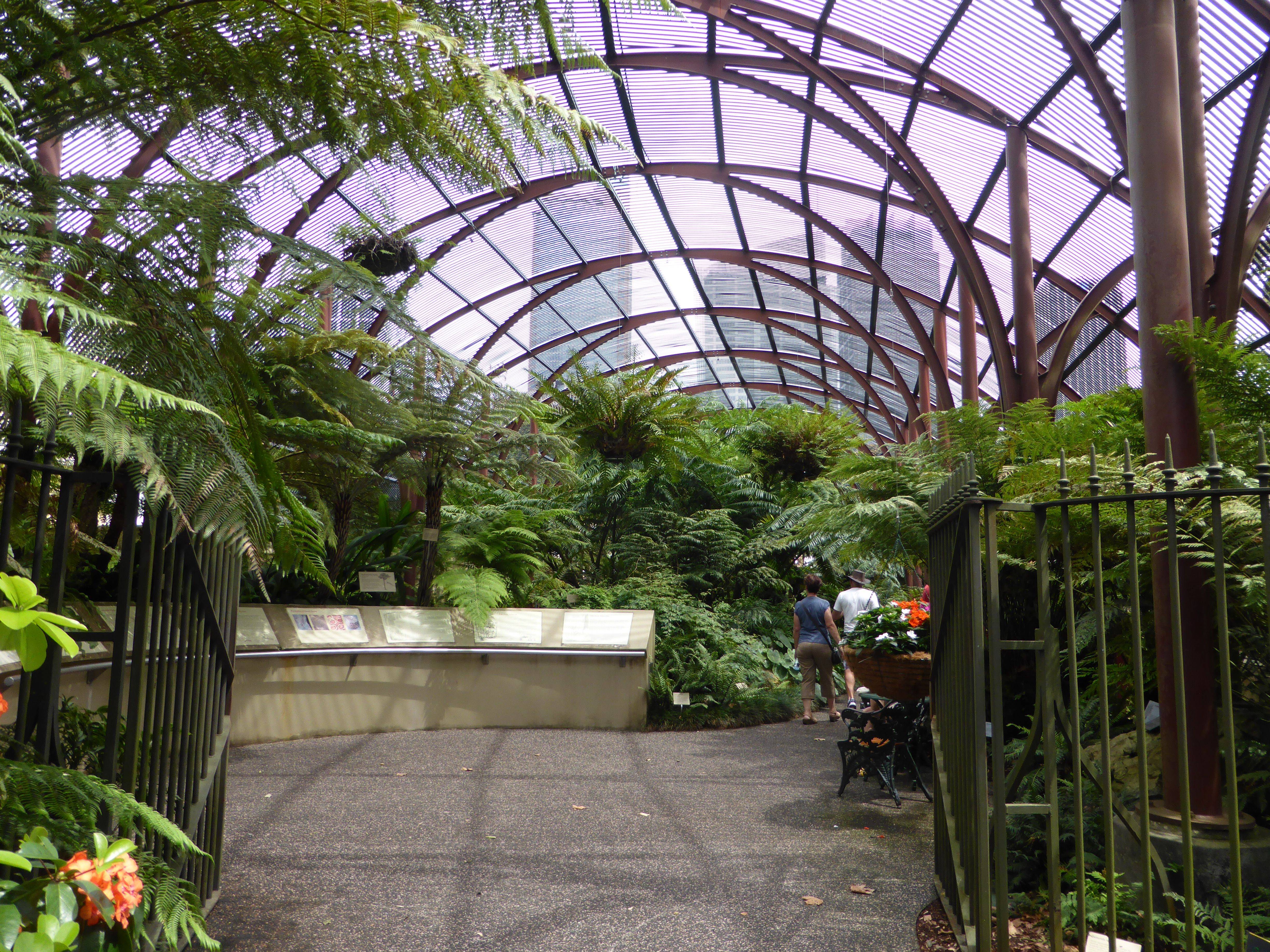 Janna Schreier Australian Garden