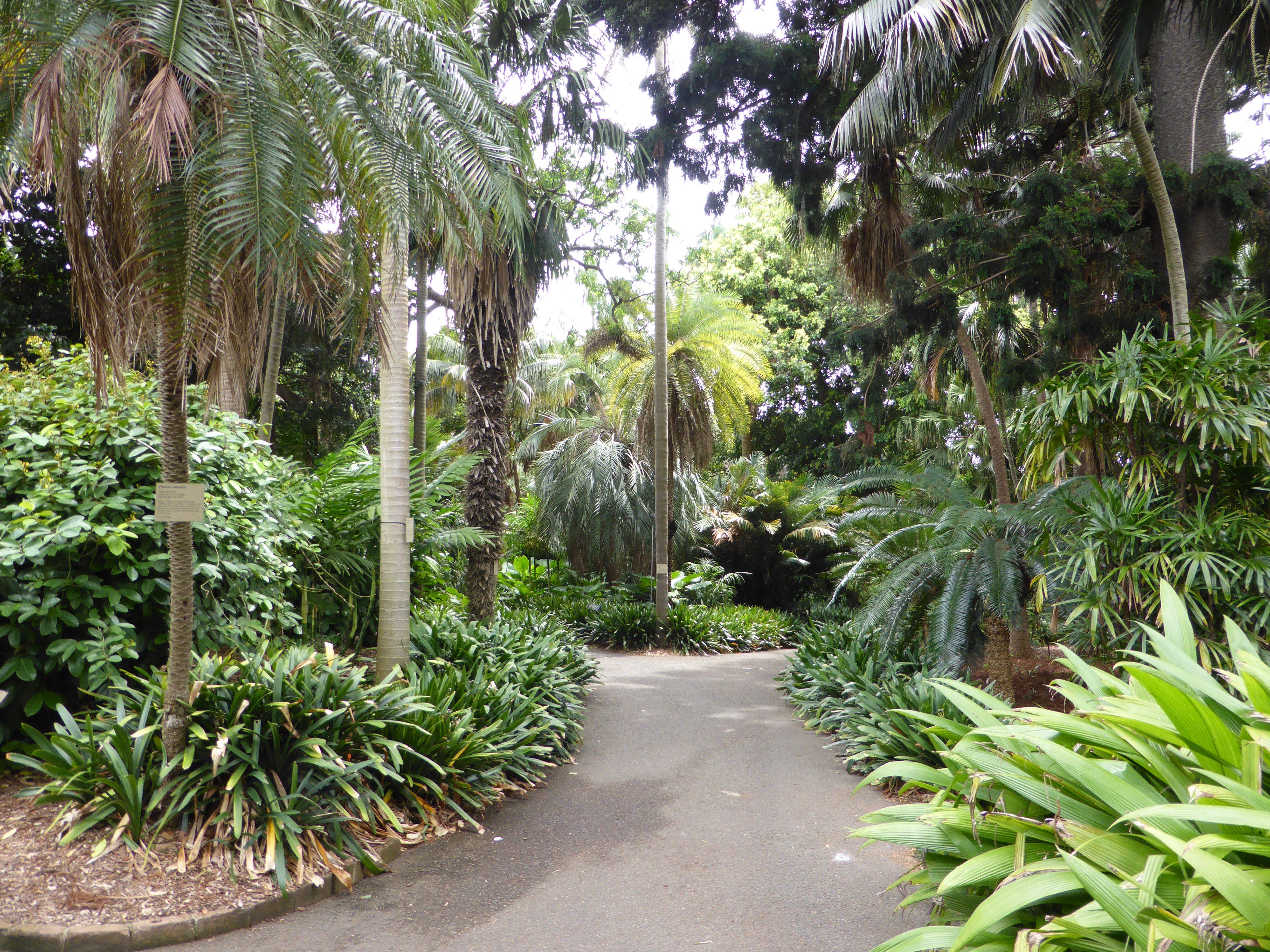 Royal Botanic Gardens Victoria Things