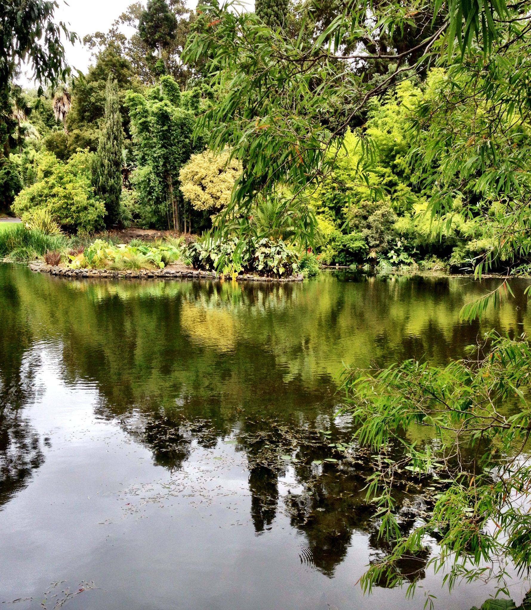 The Royal Botanic Garden Sydney