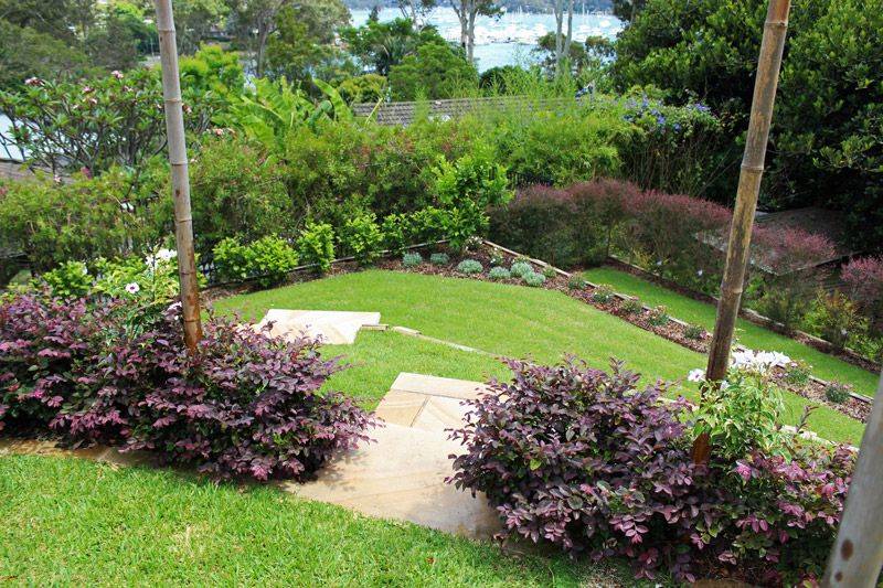 Native Australian Garden Design Ideas