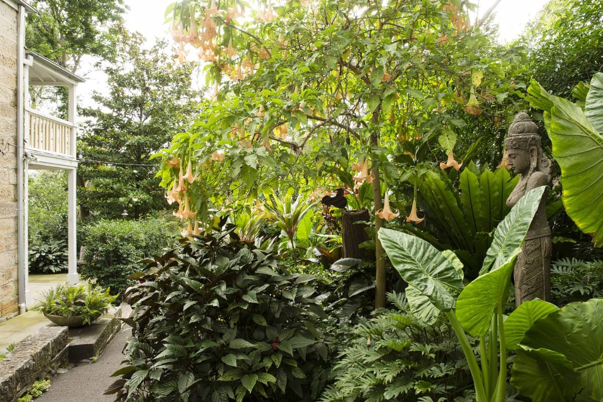 Design Little Street Garden