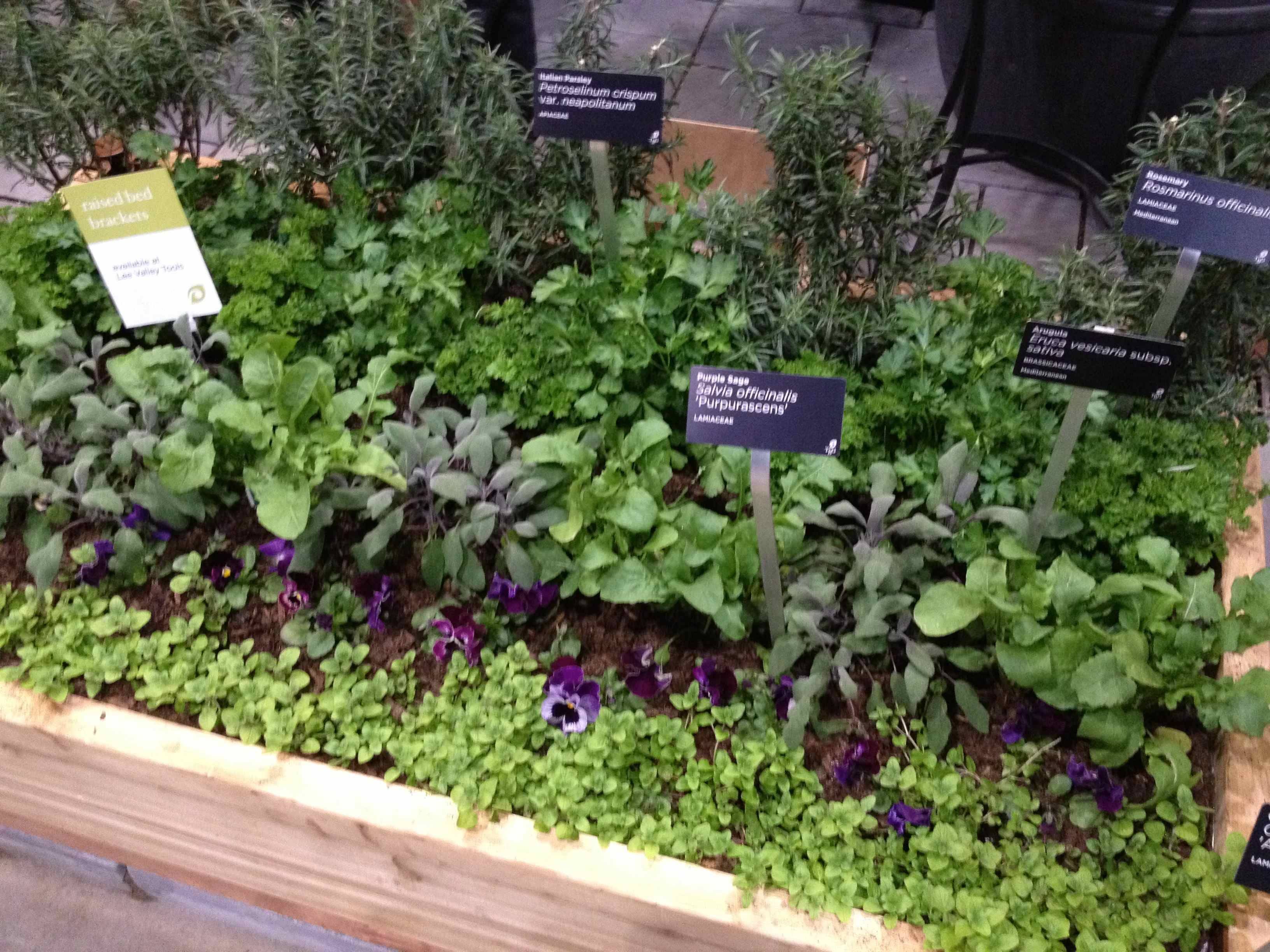 Allan Gardens Conservatory