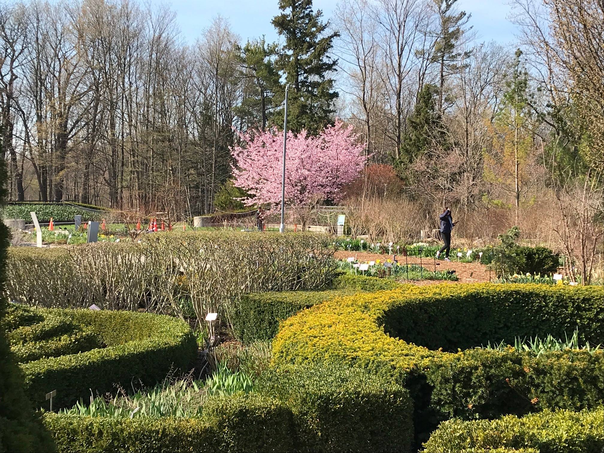 The Toronto Botanical Garden
