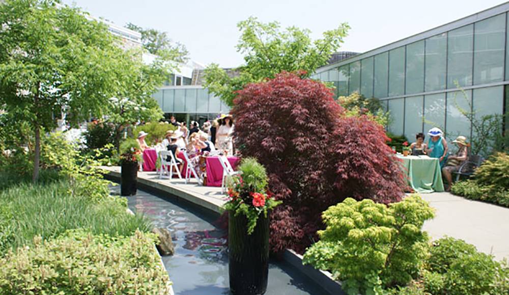Toronto Botanical Garden