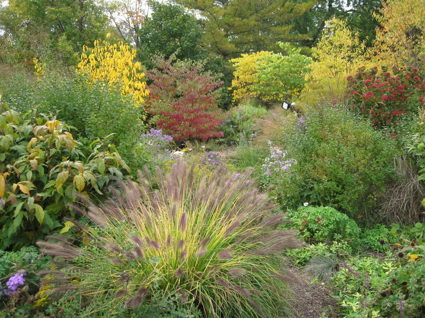 Review Toronto Botanical Garden Theweddingringca