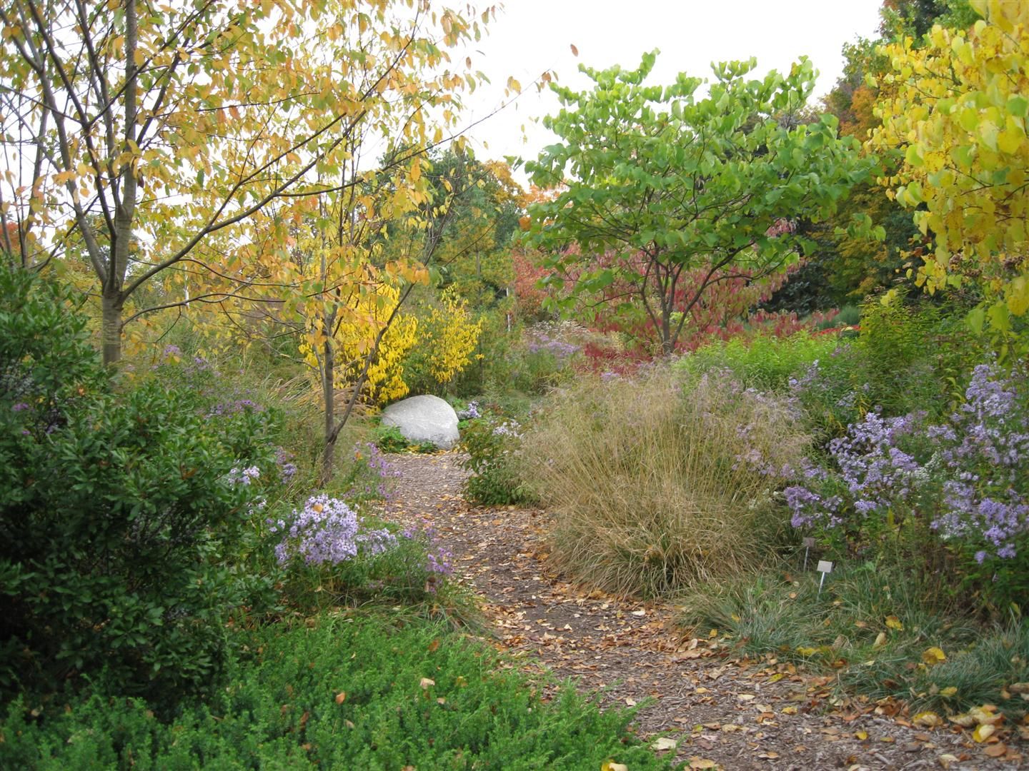 Toronto Botanical Garden
