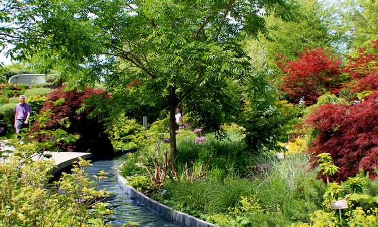 Toronto Botanical Garden