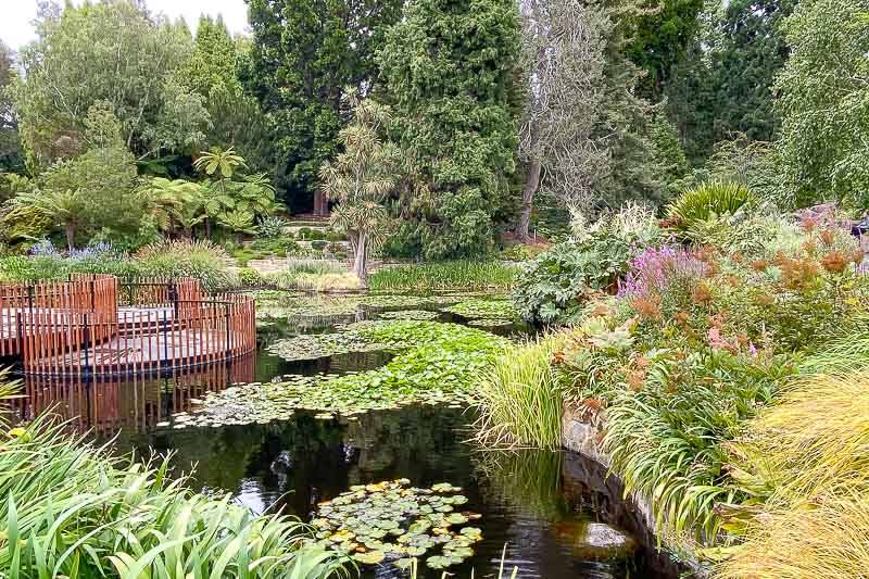 Royal Tasmania Botanic Gardens Photo Gavin Anderson Garden Travel Hub