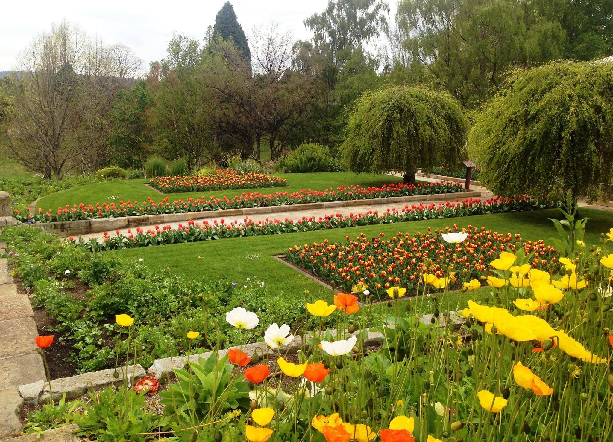 Royal Tasmanian Botanical Gardens