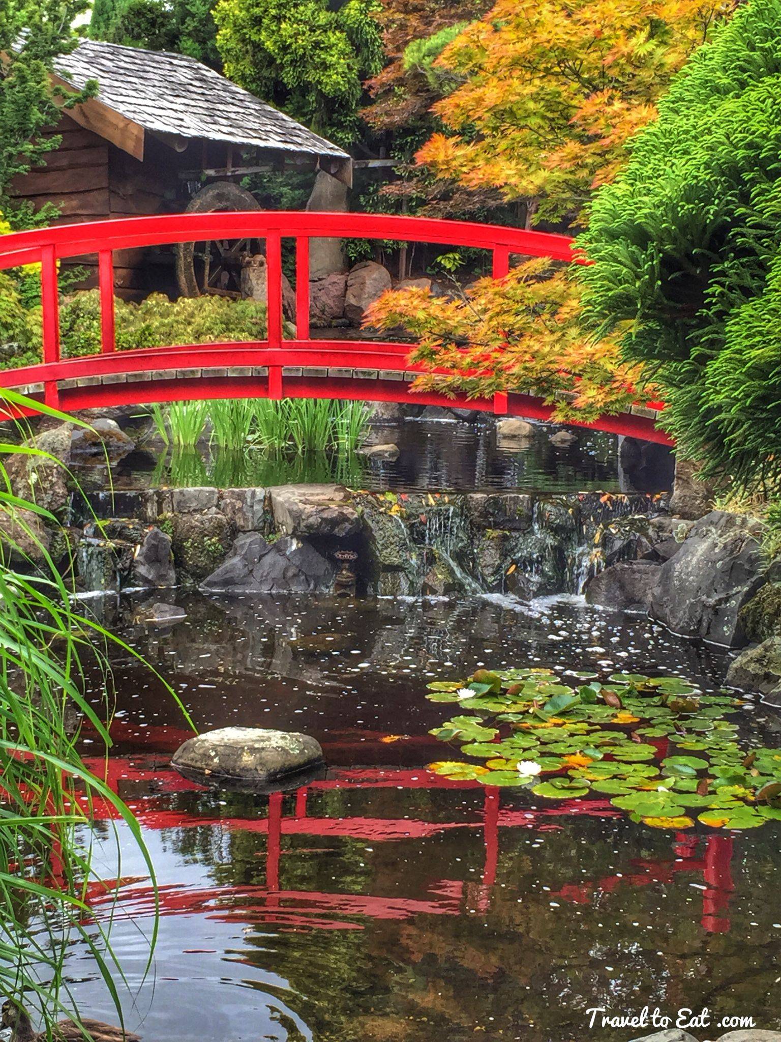 Royal Tasmanian Botanical Gardens