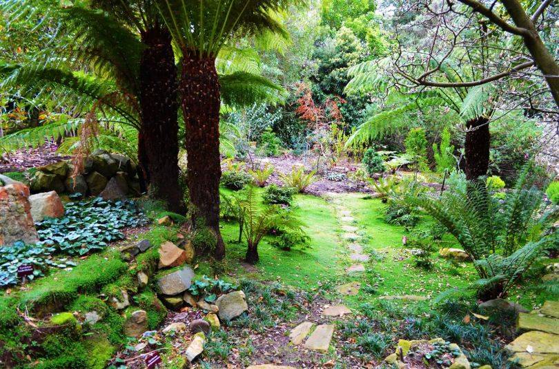 Royal Tasmanian Botanical Gardens Josie Wanders
