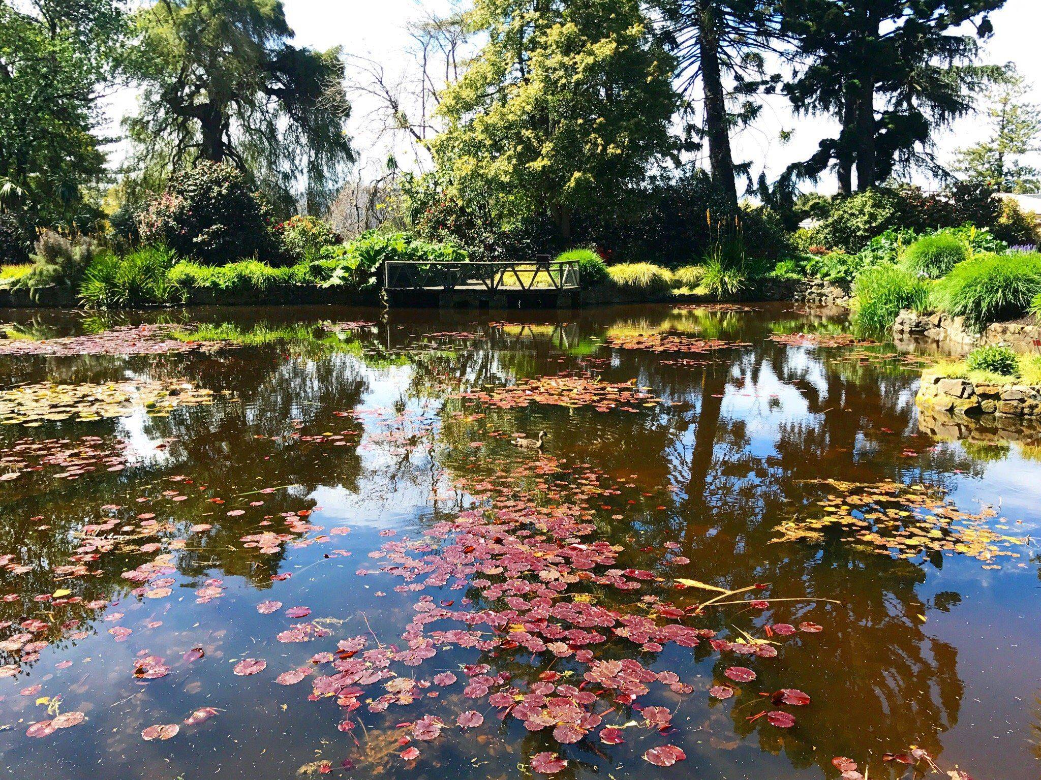 Royal Tasmanian Botanical Gardens