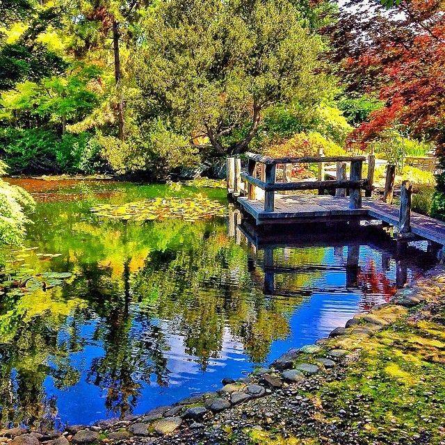 The Royal Tasmanian Botanical Gardens