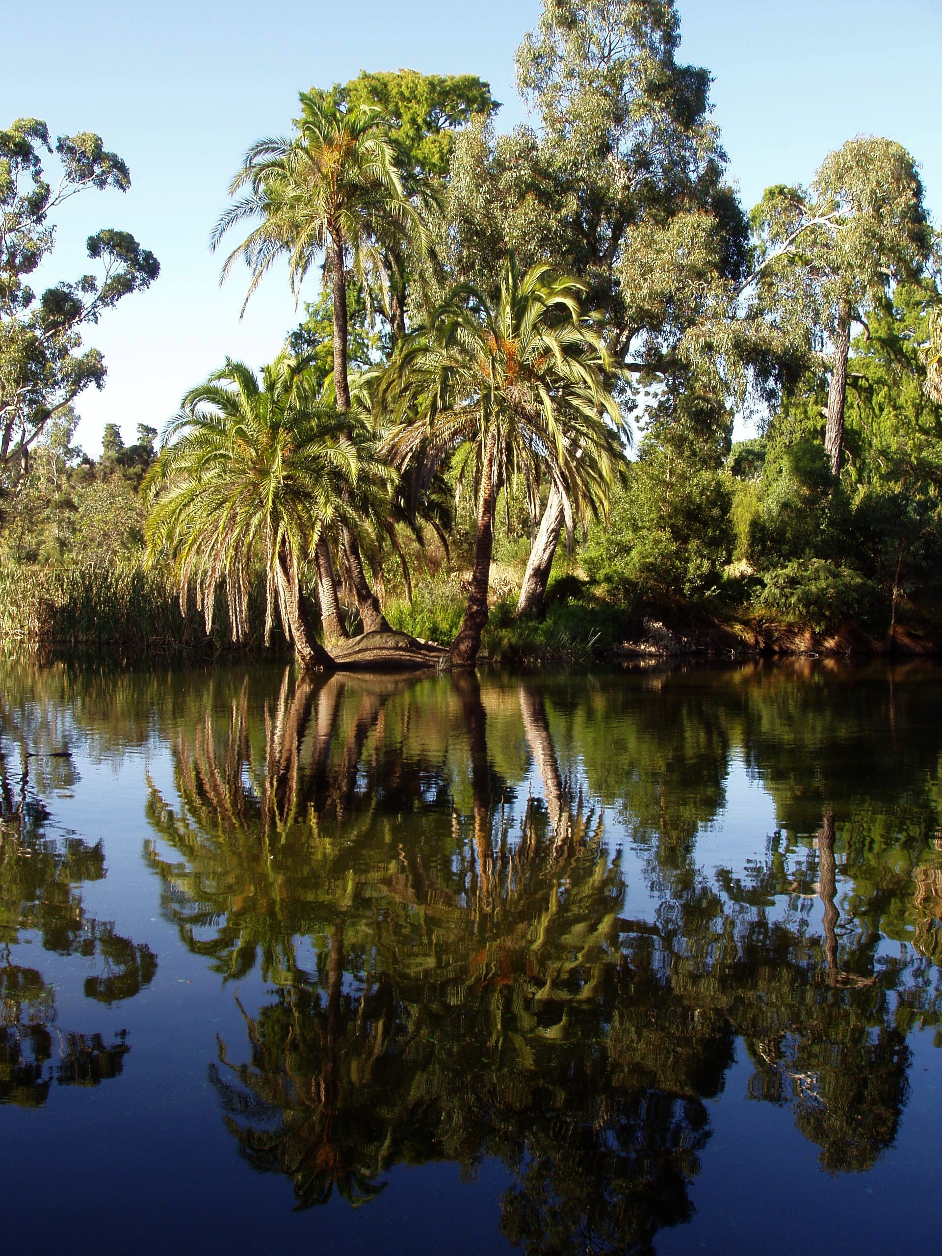 Botanic Gardens