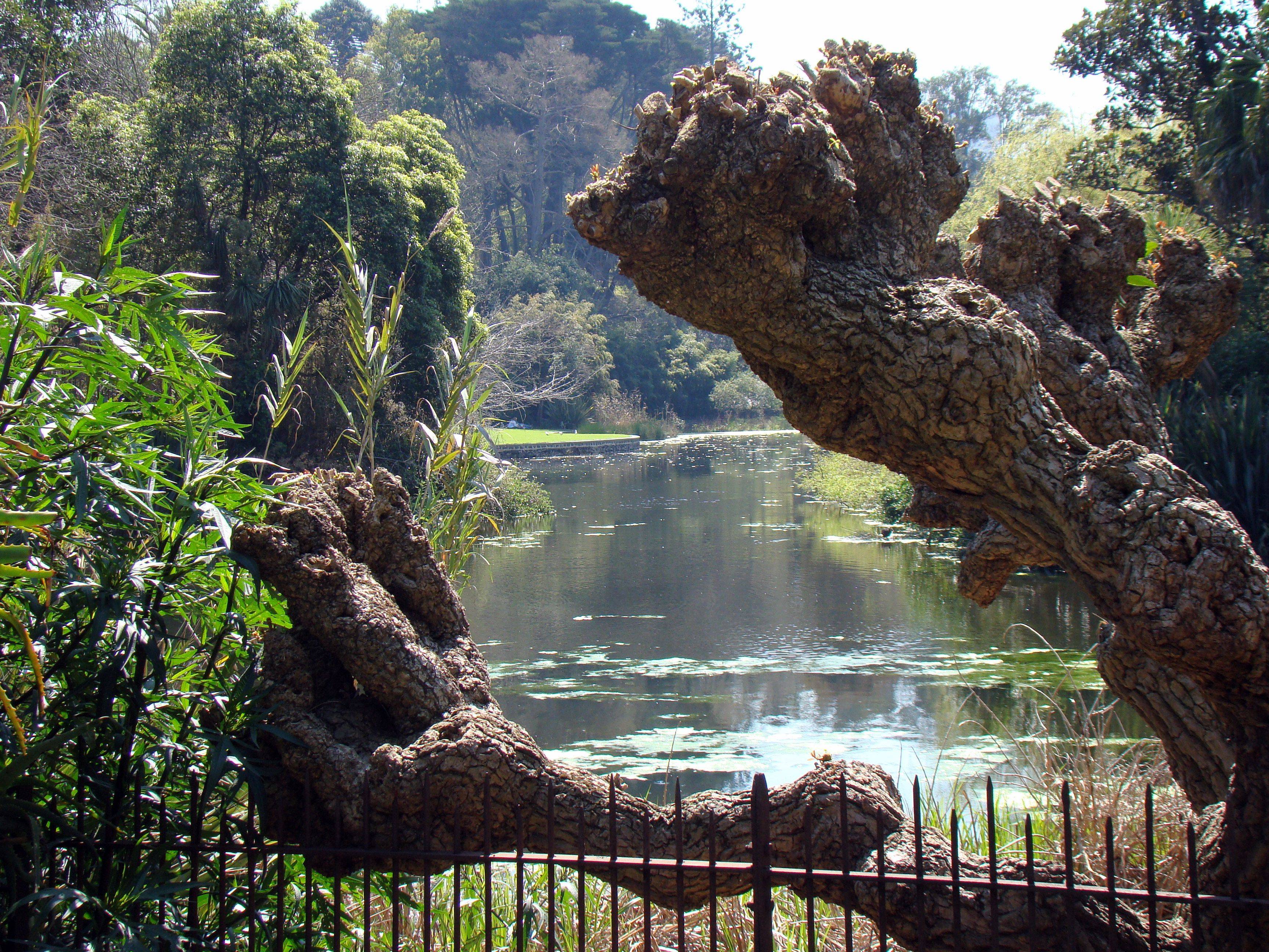 Albury Botanic Garden Australian Botanical Gardens