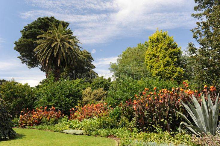 Australian Botanic Gardens Spring Destinys Child