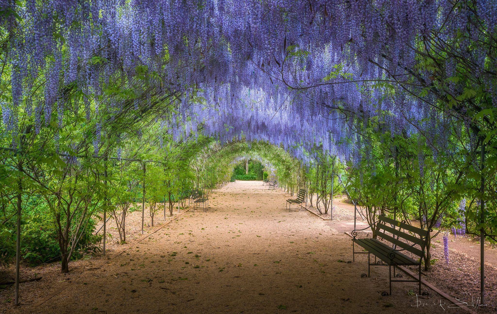 Botanical Gardens