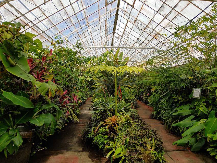 Botanical Gardens Near Melbourne Beautiful Flower Arrangements And