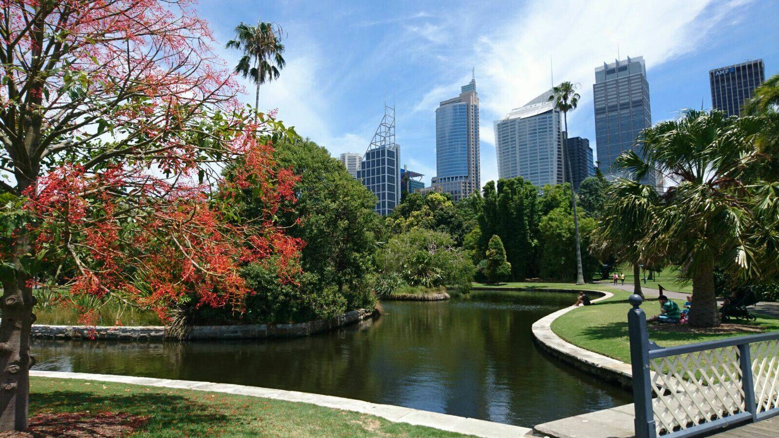 Botanical Gardens Near Melbourne Beautiful Flower Arrangements And