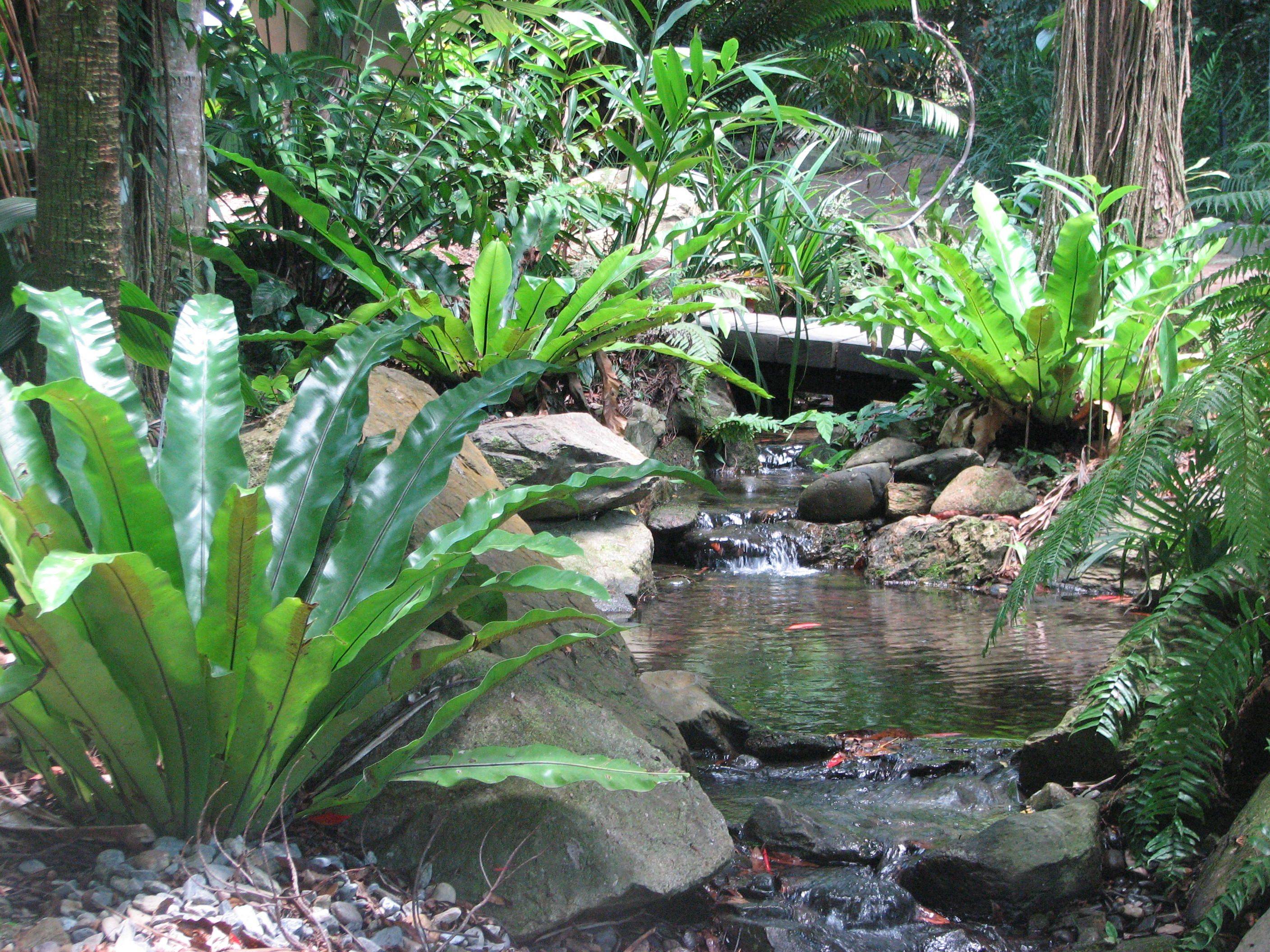 Royal Botanic Gardens Abc News