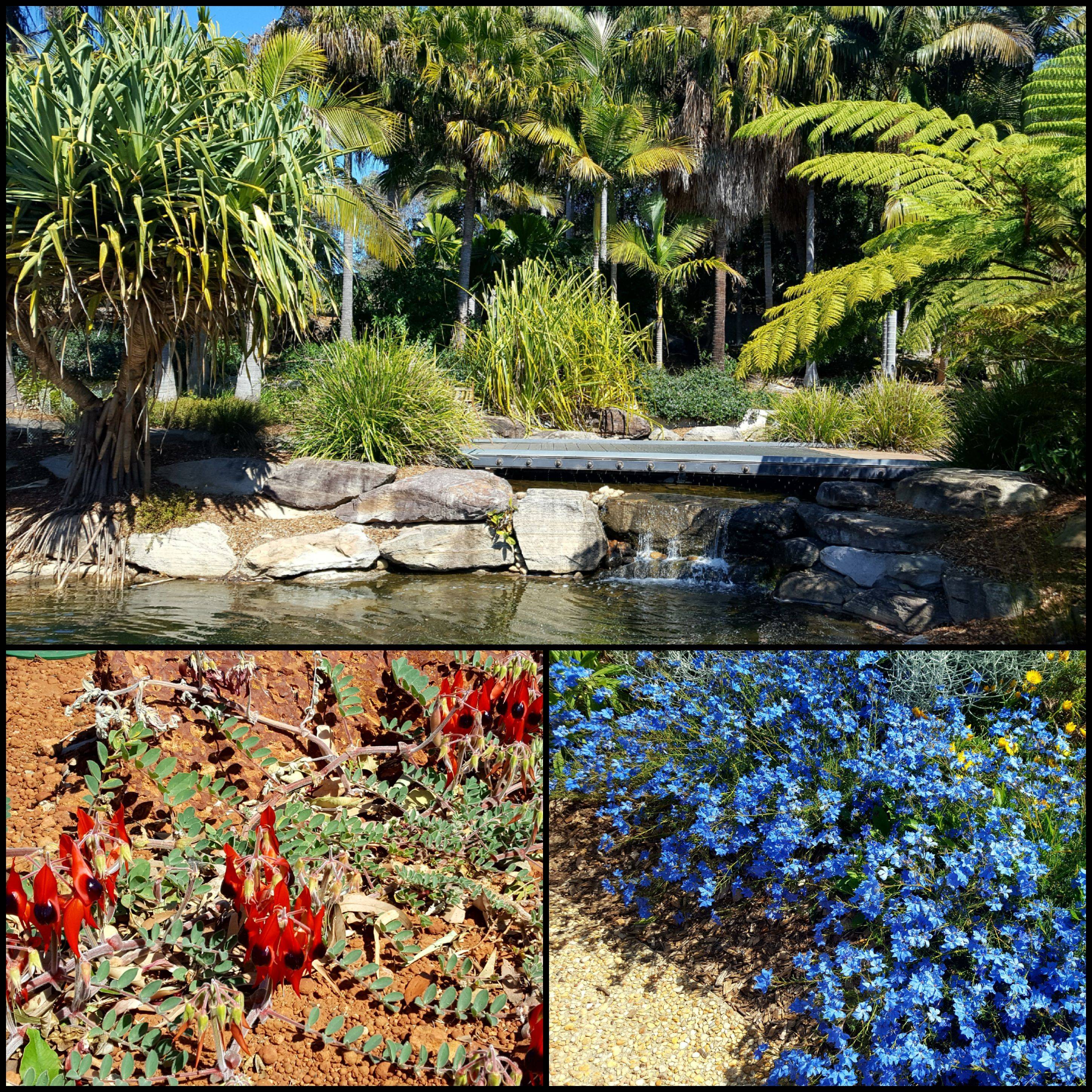 Aboriginal Garden Botanical Gardens