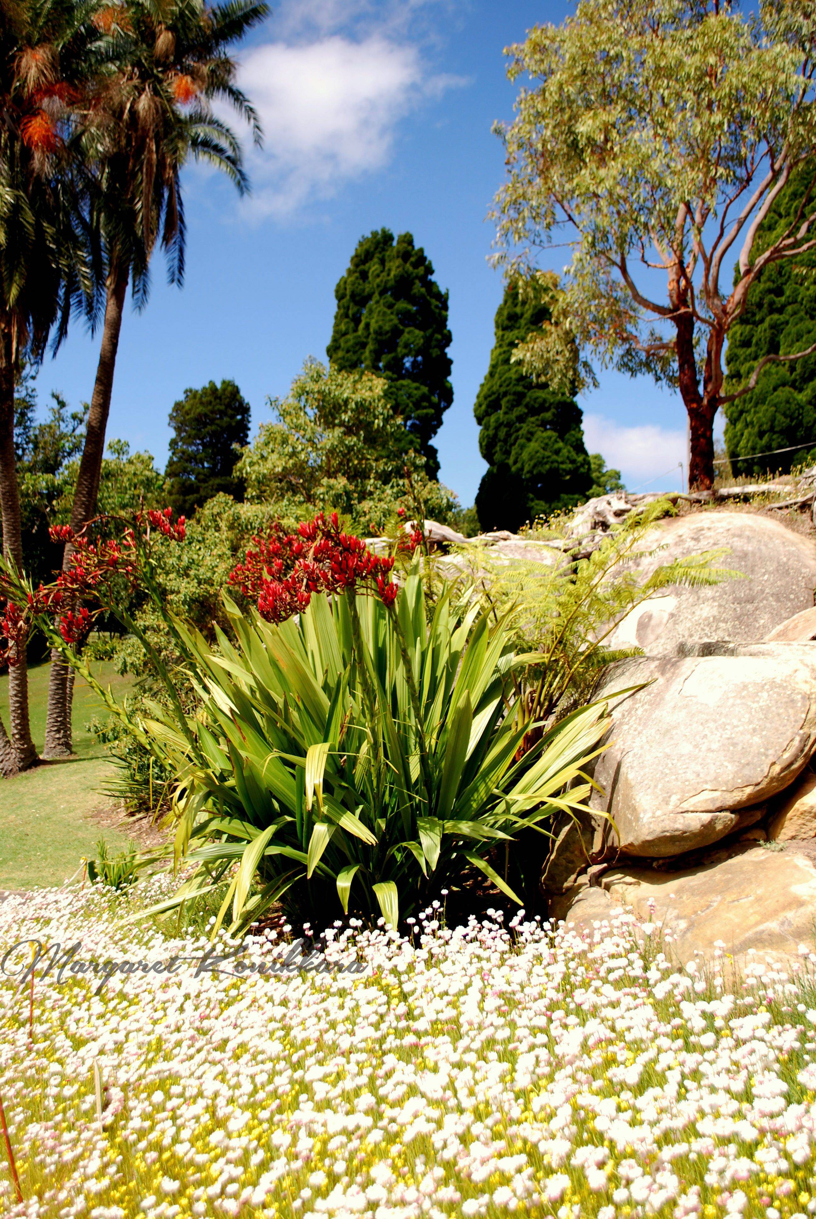 The Royal Tasmanian Botanic Gardens
