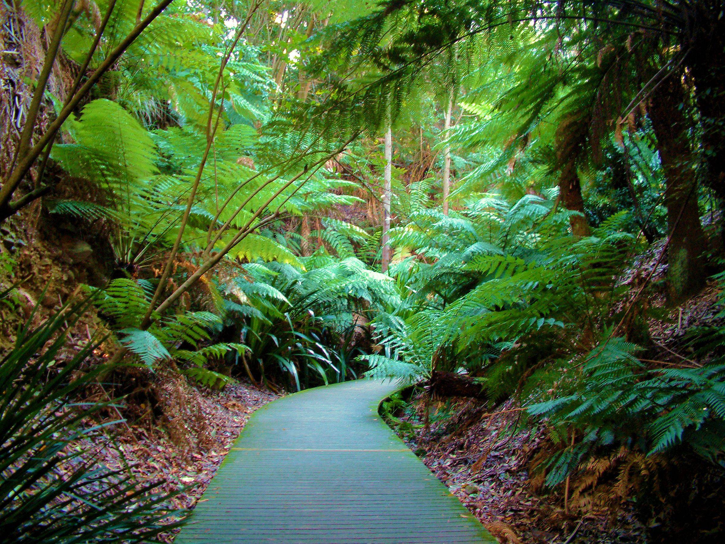Melbourne Botanical Garden