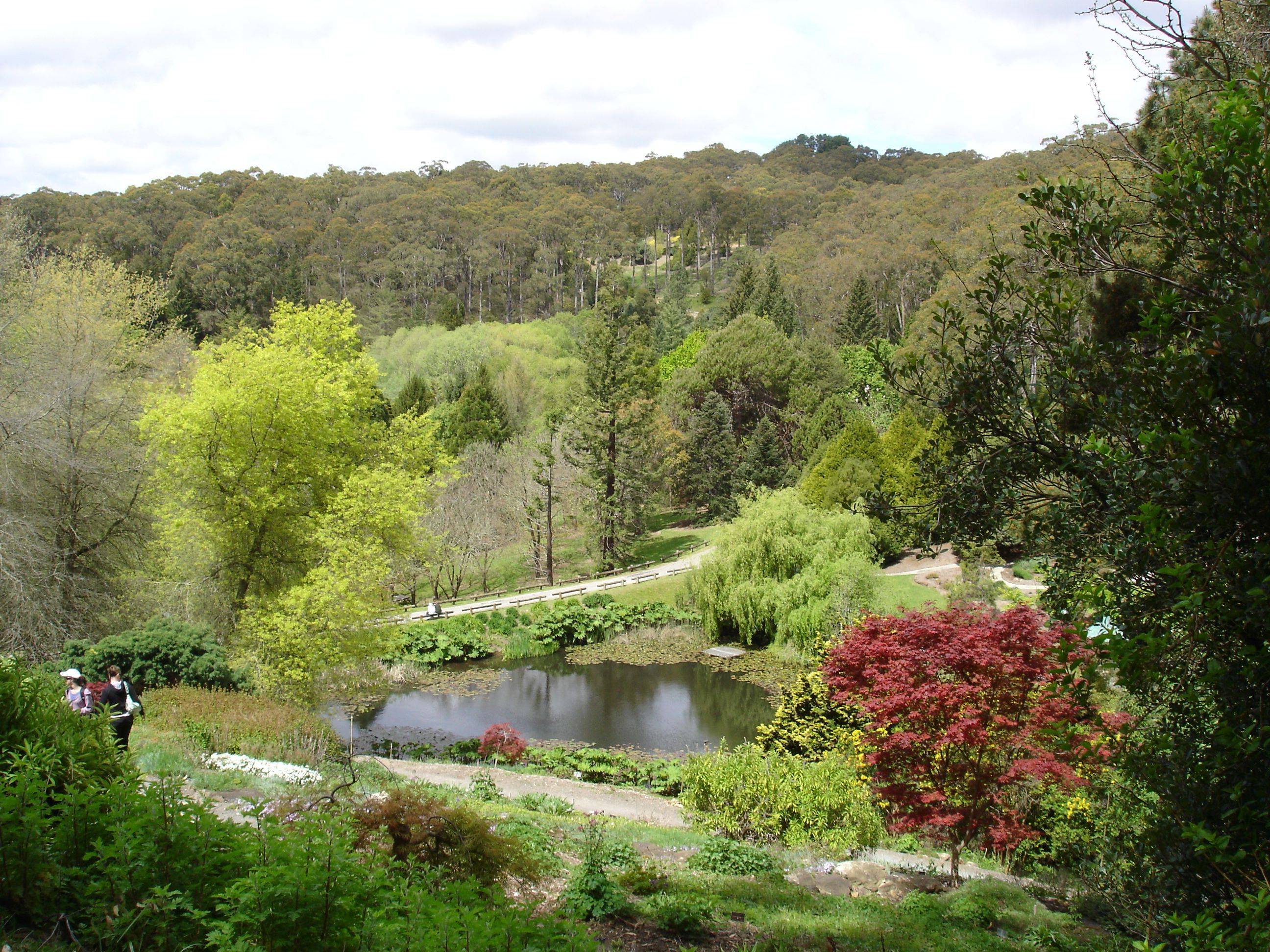 Royal Botanic Gardens Cranbourne Australian Garden