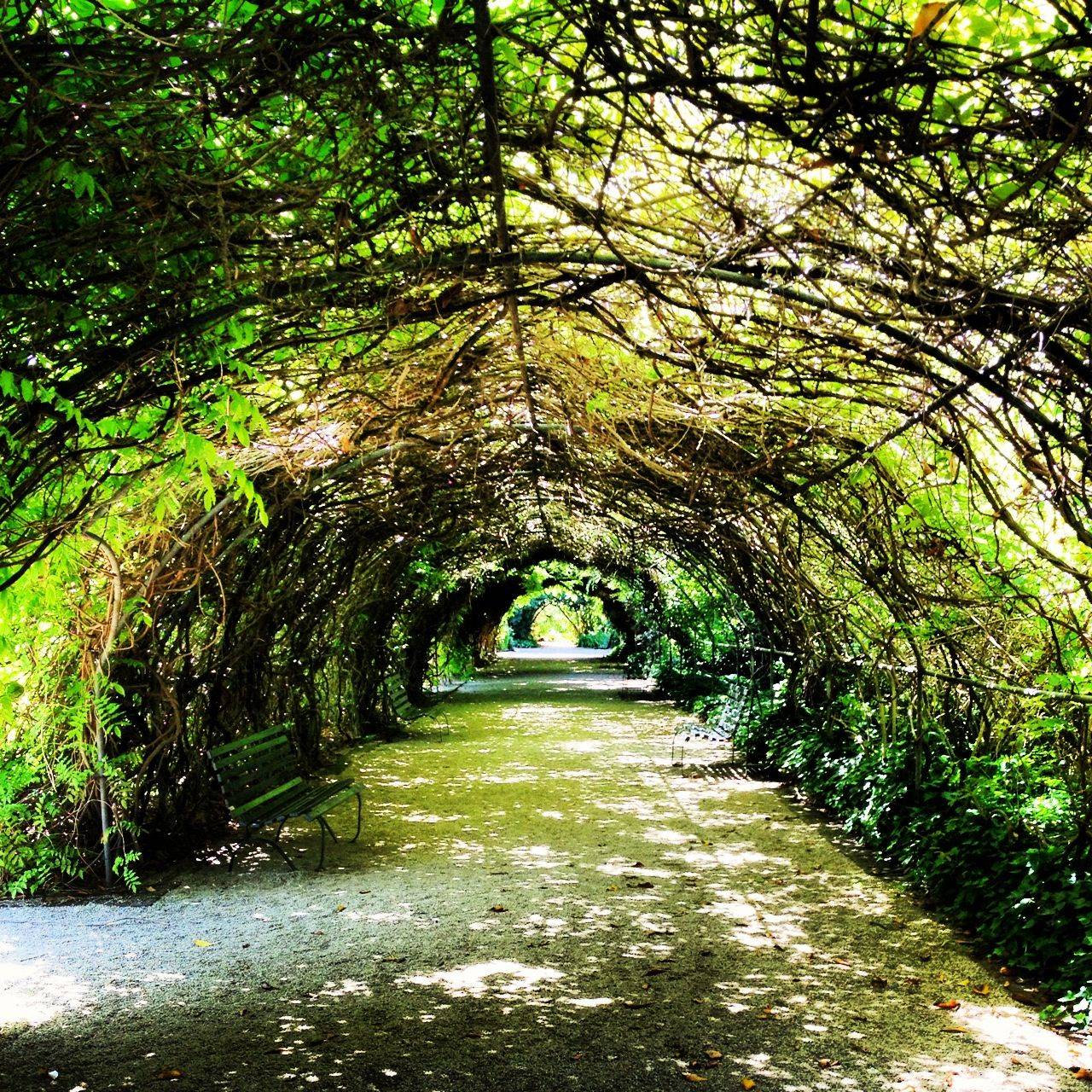 Royal Botanic Gardens Sydney Australia February