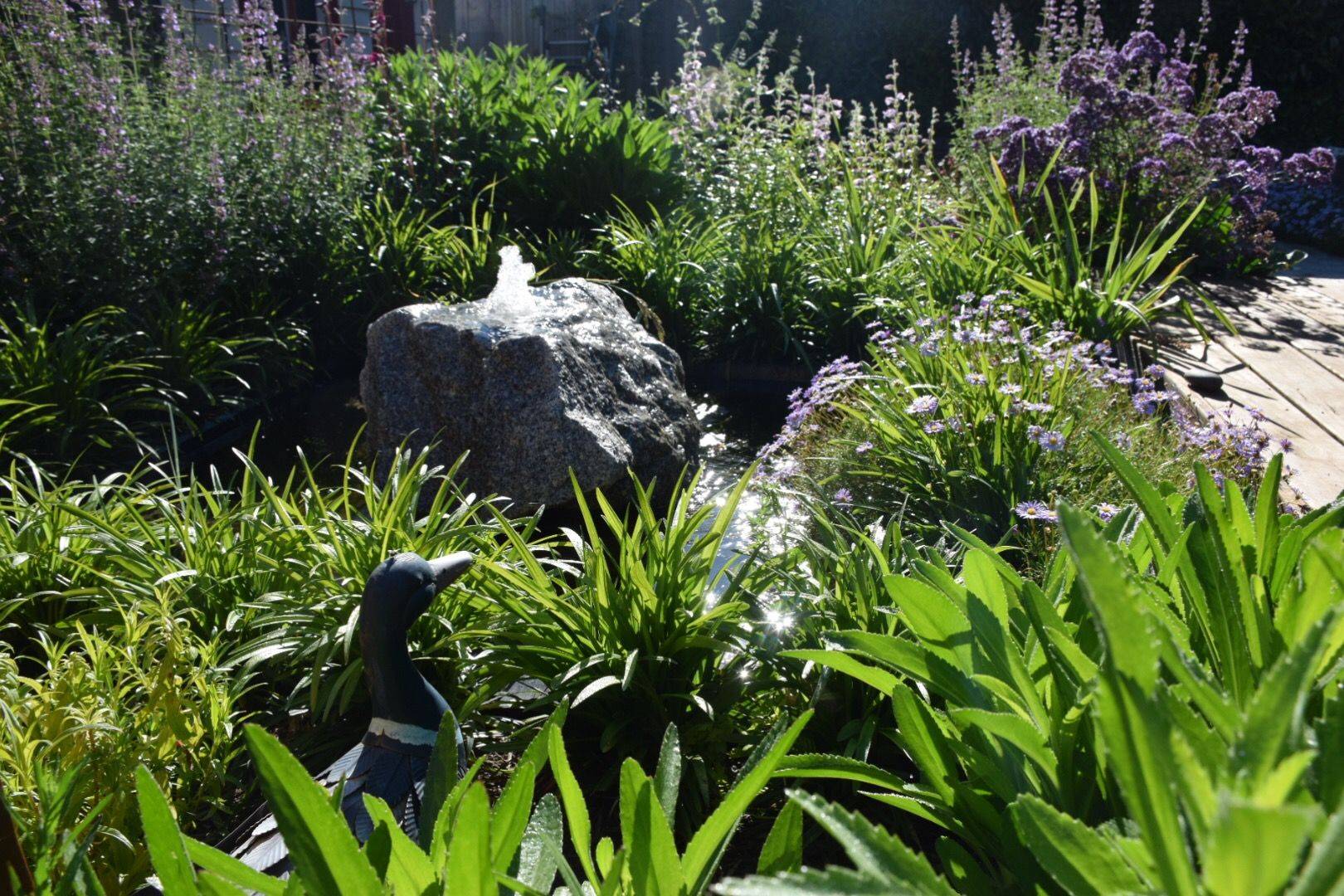 Royal Botanical Gardens Melbourne