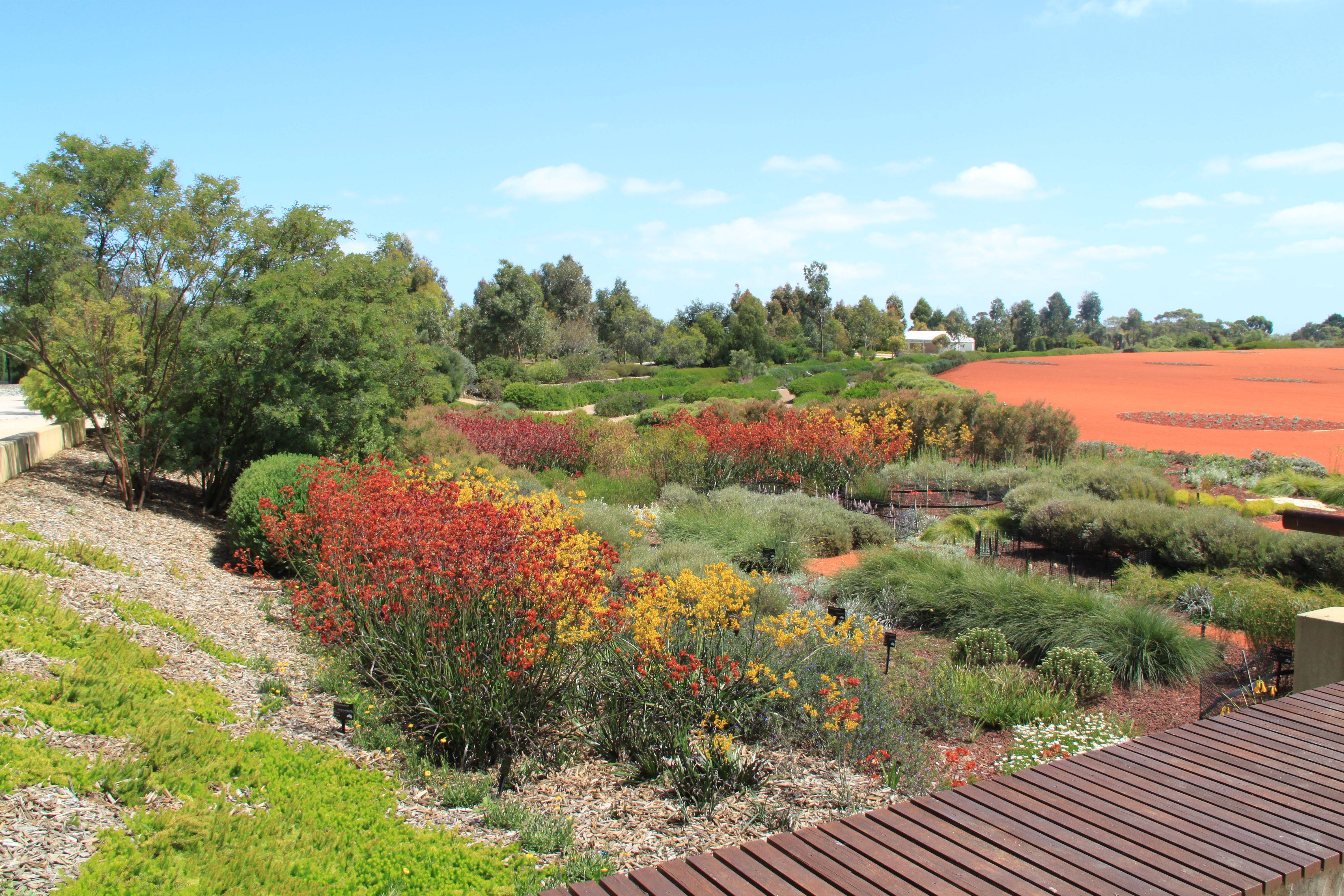 The Royal Botanic Gardens