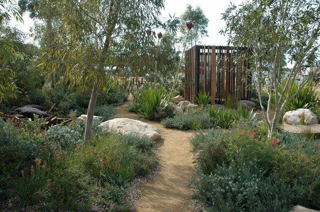 The Sydney Gardener Gardendrum
