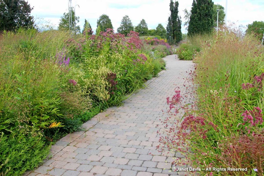 Denver Botanic Garden Courtyard Landscaping