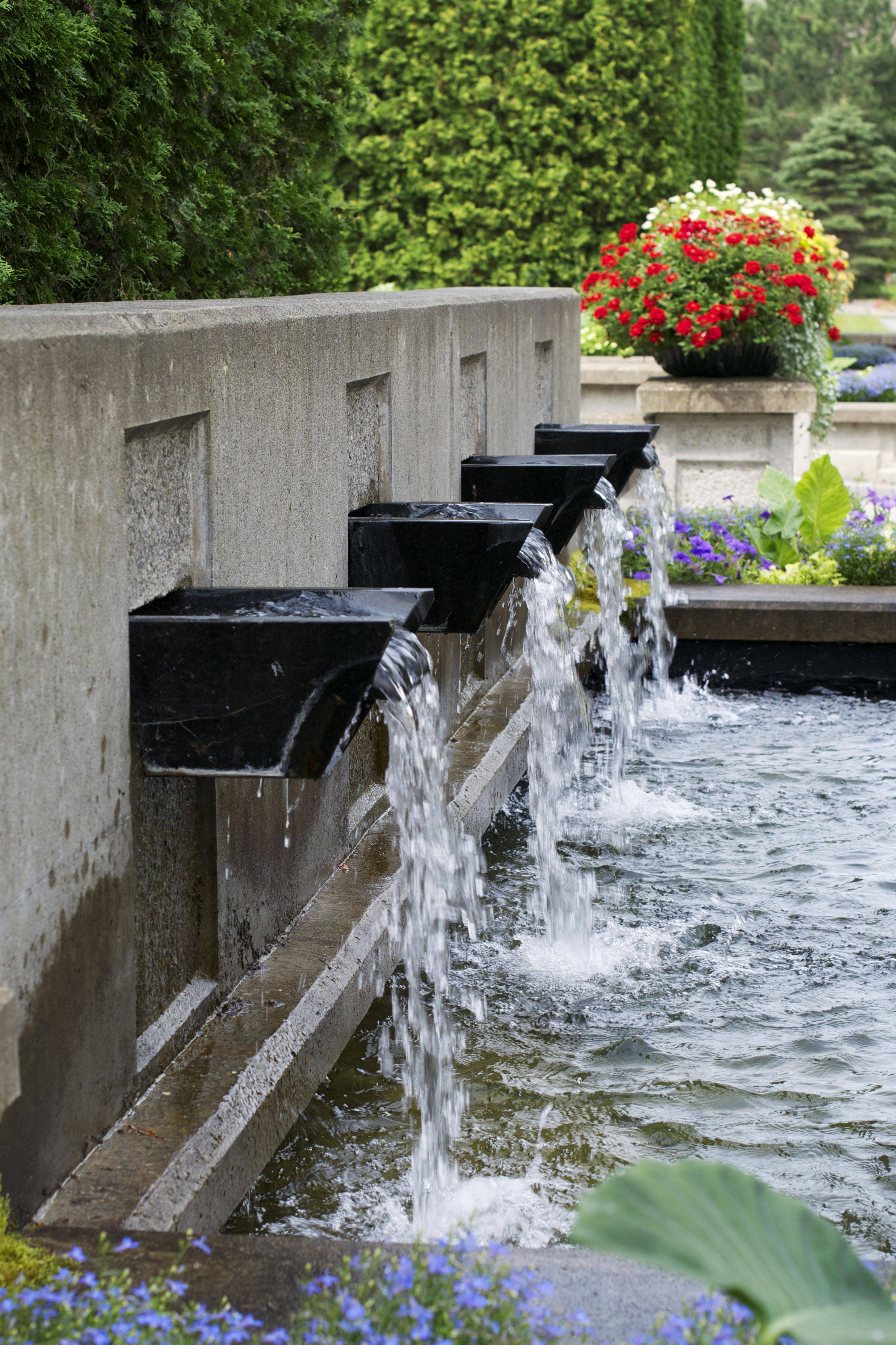 Planting Ideas