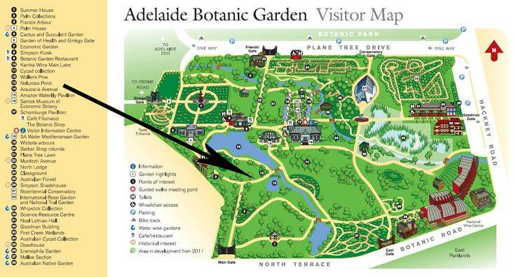 Botanical Gardens Sydney