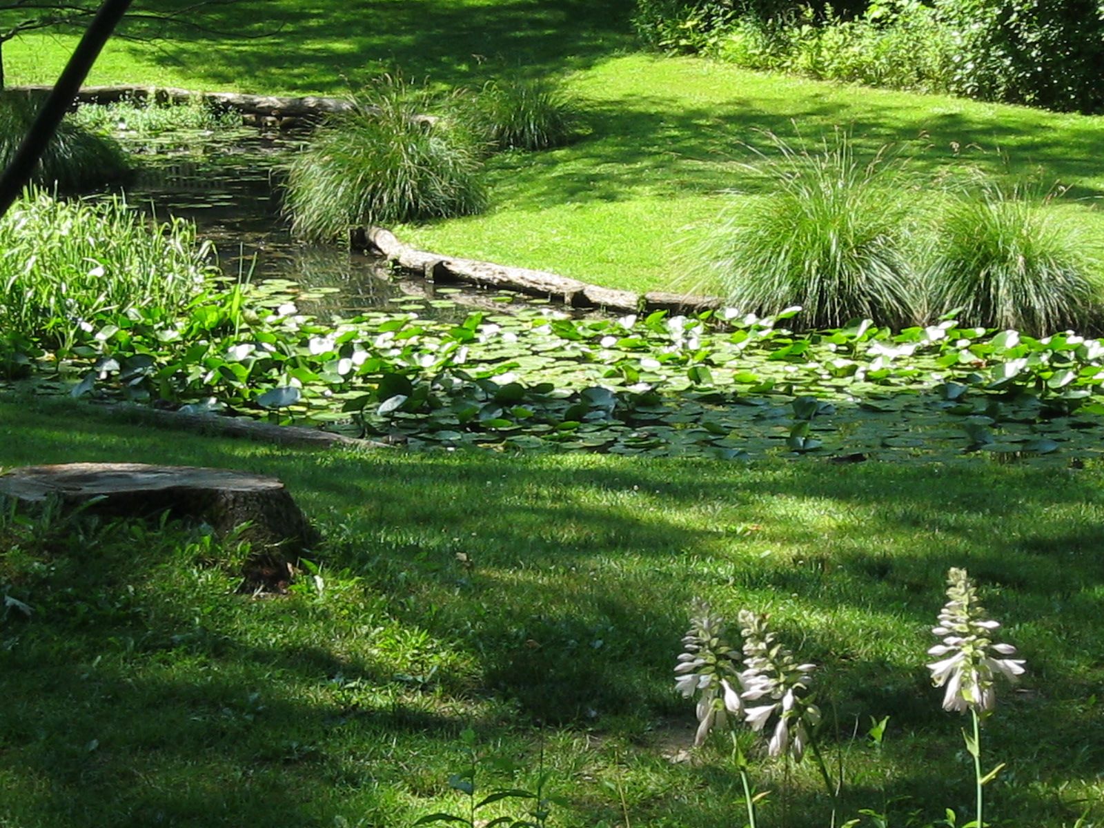 Httpwwwbuddymurphycom Sayens Gardens Garden Photos