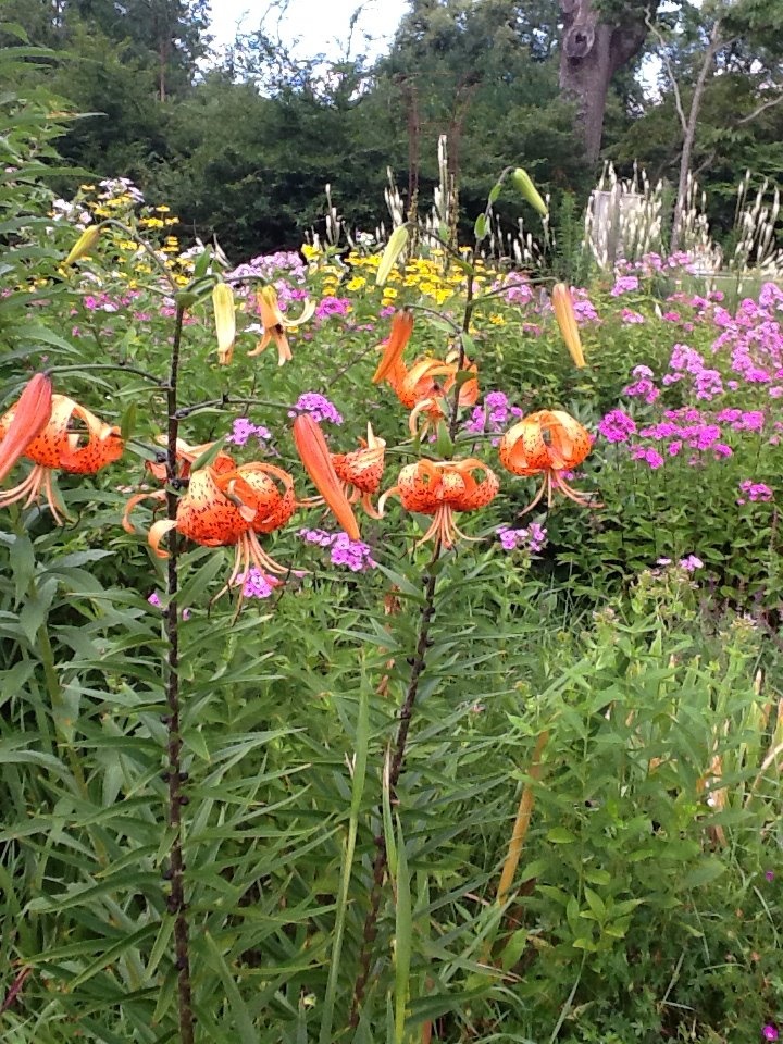 Indoor Botanical Gardens