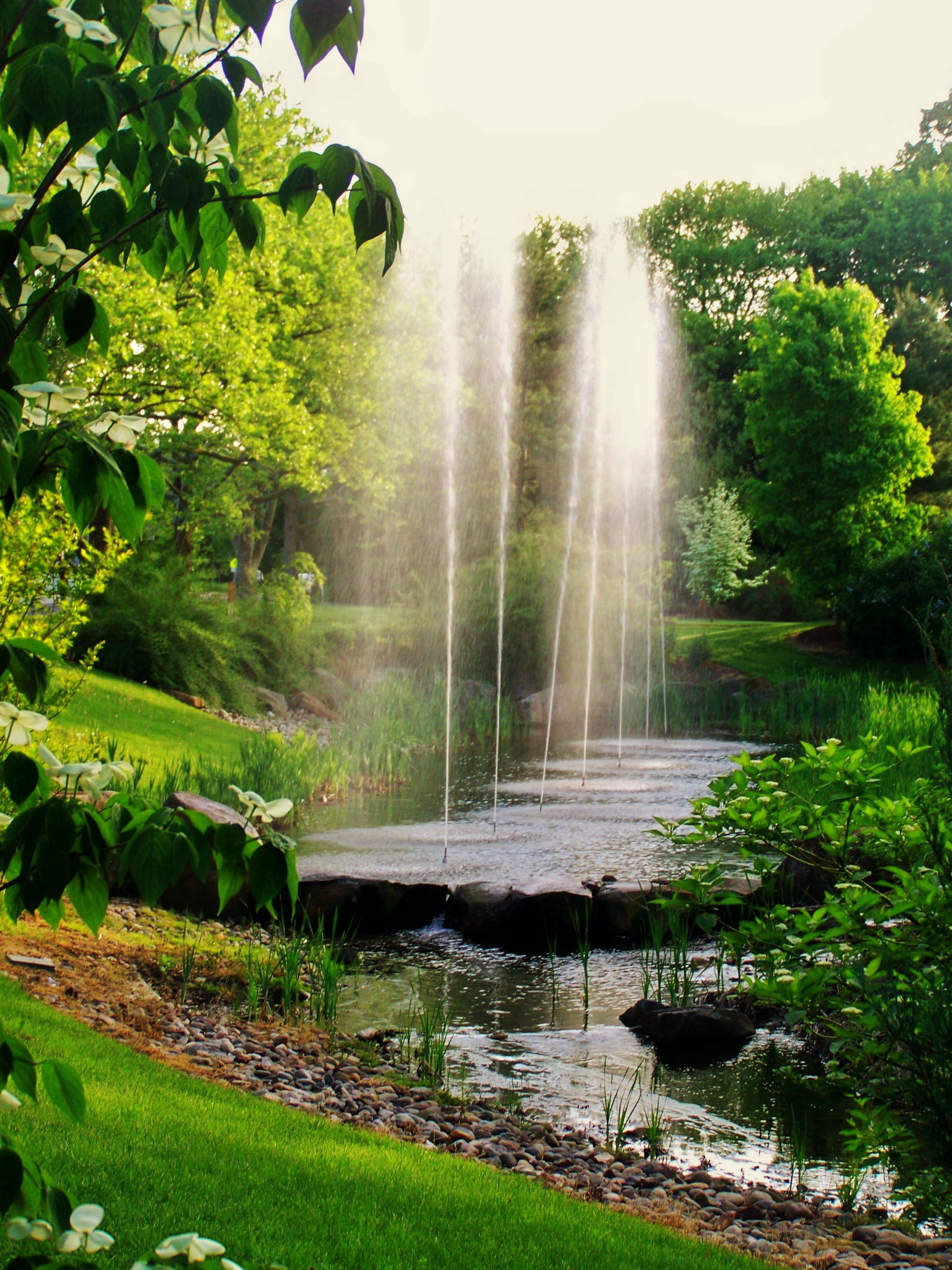 New Jersey State Botanical Garden